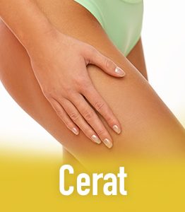 Cerat